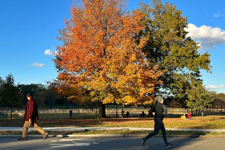 a jogger passes beautiful foliage in Prospect Park